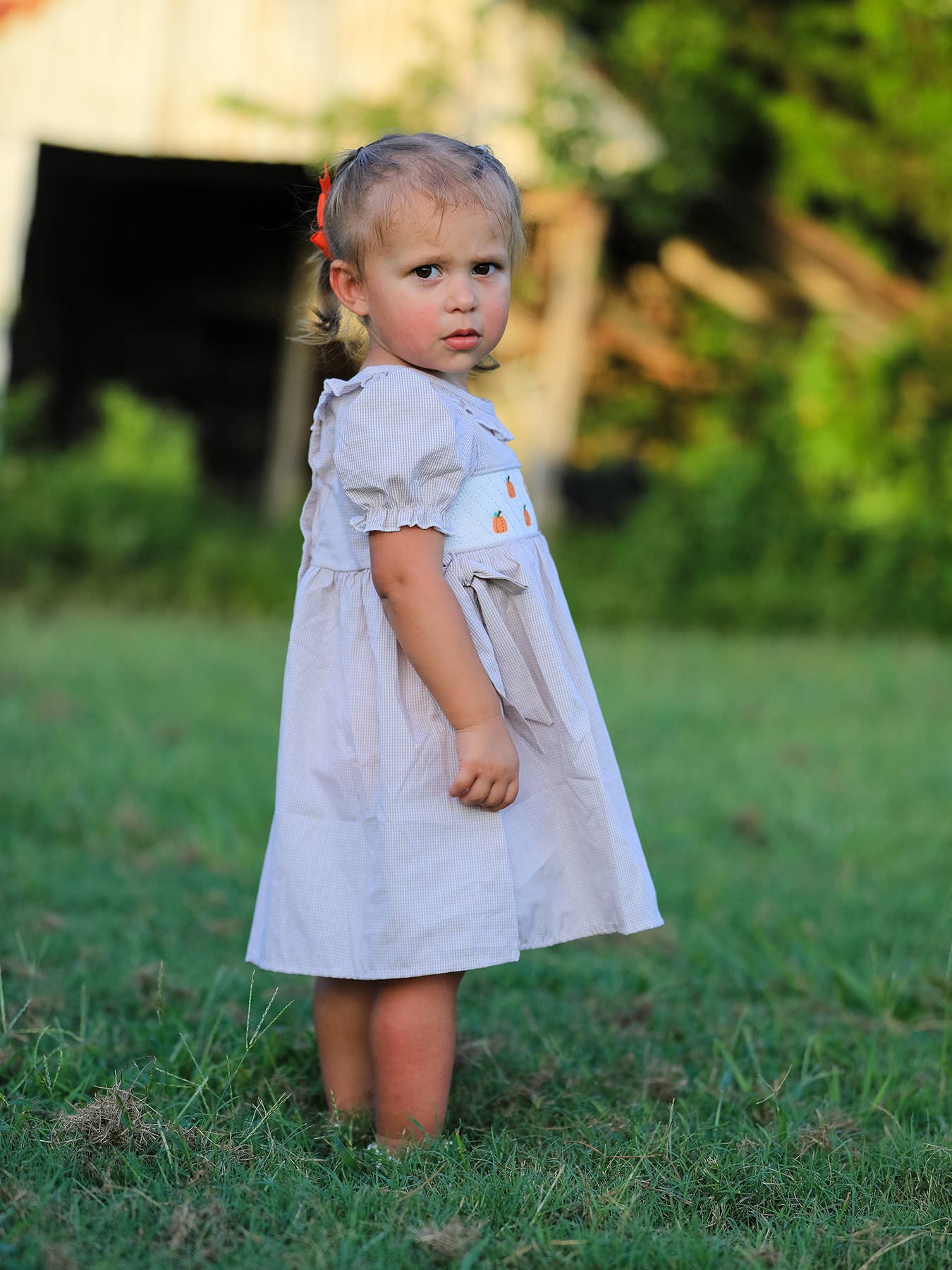Rylee Faith Designs - Halloween & Thanksgiving Pumpkin Embroidery Smock Plaid Girls Dress