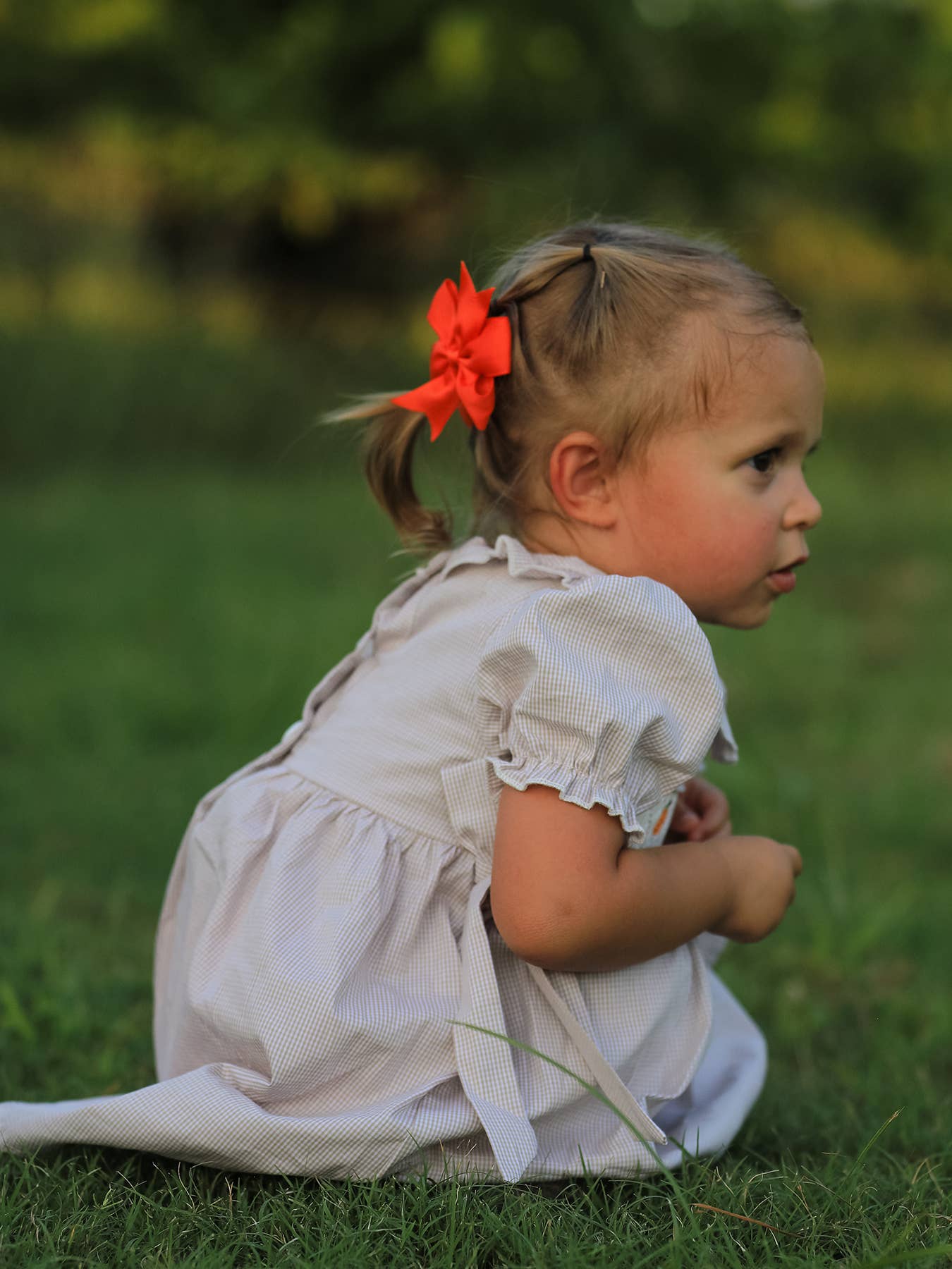 Rylee Faith Designs - Halloween & Thanksgiving Pumpkin Embroidery Smock Plaid Girls Dress